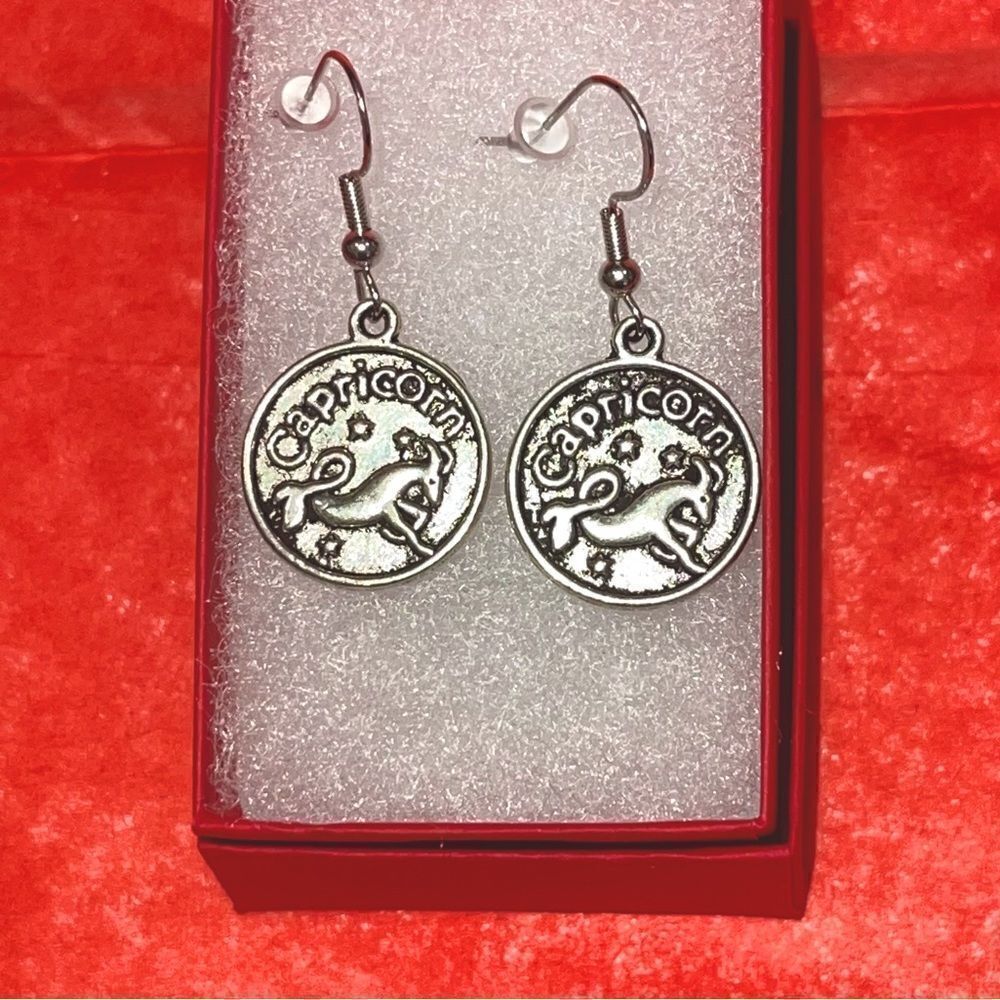 CAPRICORN IRON & SILVER DOUBLE SIDED ZODIAC DROP EARRINGS